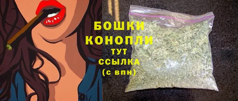 сколько стоит  Северск  Бошки марихуана Bruce Banner 